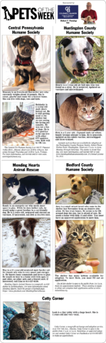 Pets of the Week March 28-29, 2026